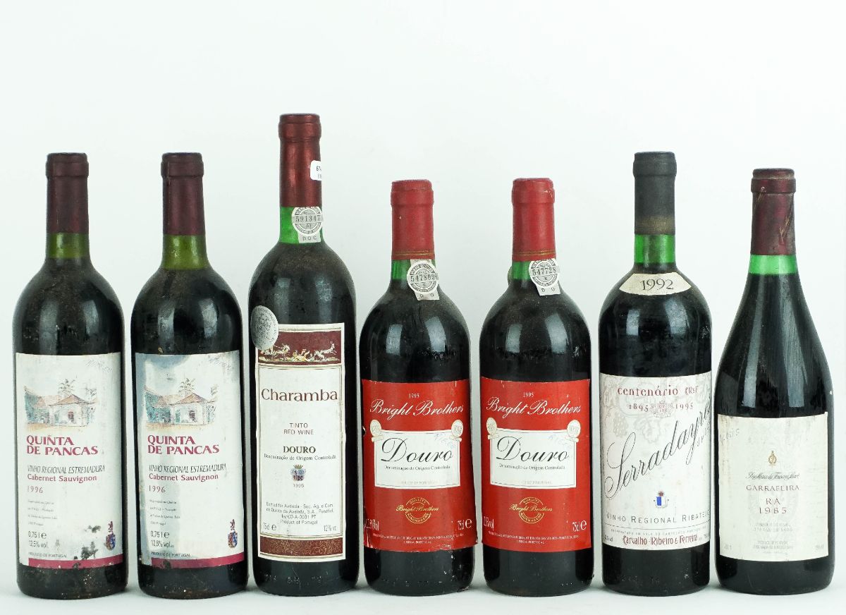 10 Garrafas de Vinho Tinto