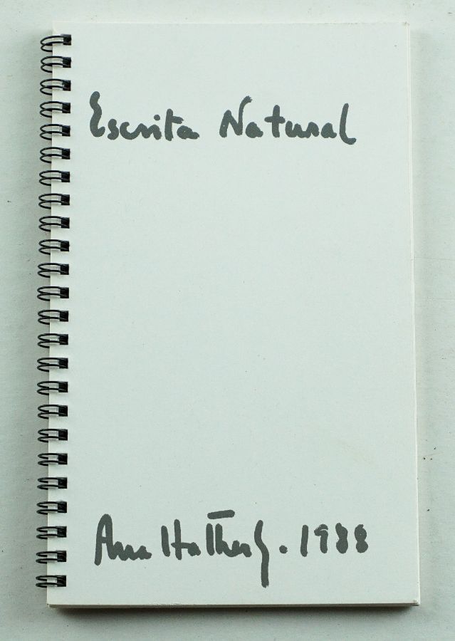 Ana Hatherly Livro de artista