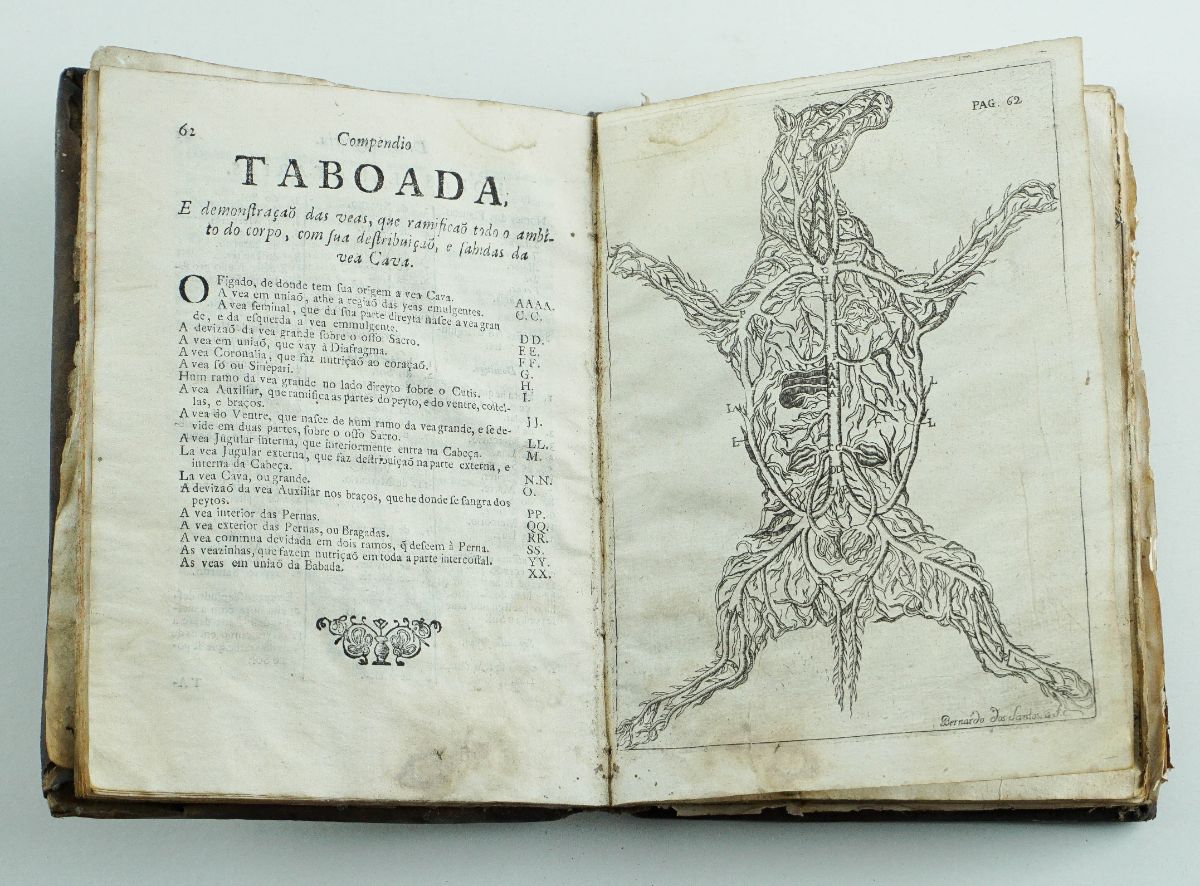 Compendio de Alveytaria – Primeira edição de 1737