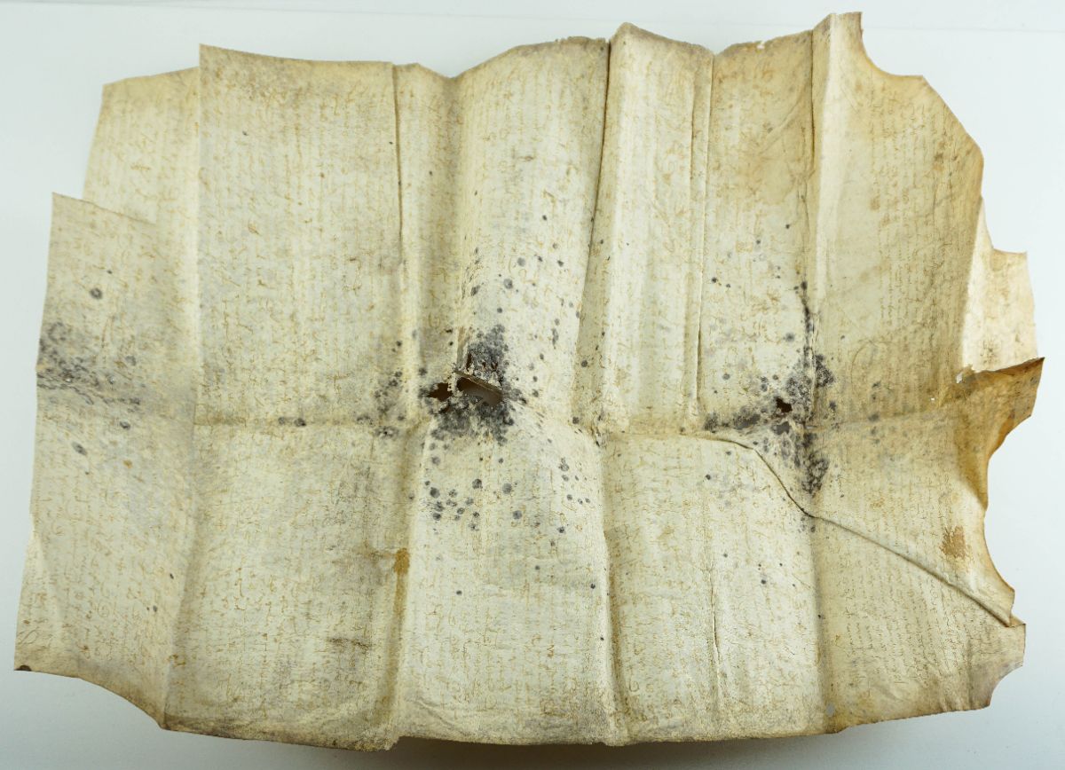Pergaminho de emprazamento da Quinta de Arois Séc. XIV / XV