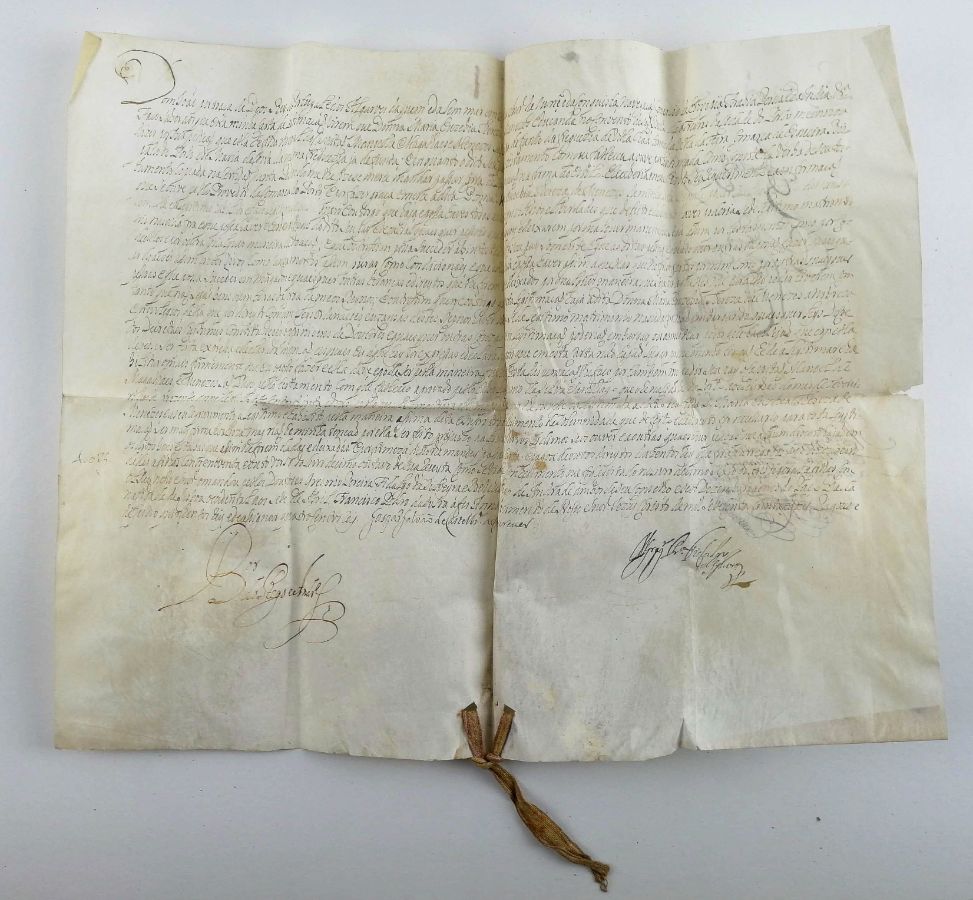 Manuscrito, Pedido de legitimação ao Rei D. João V, 1732