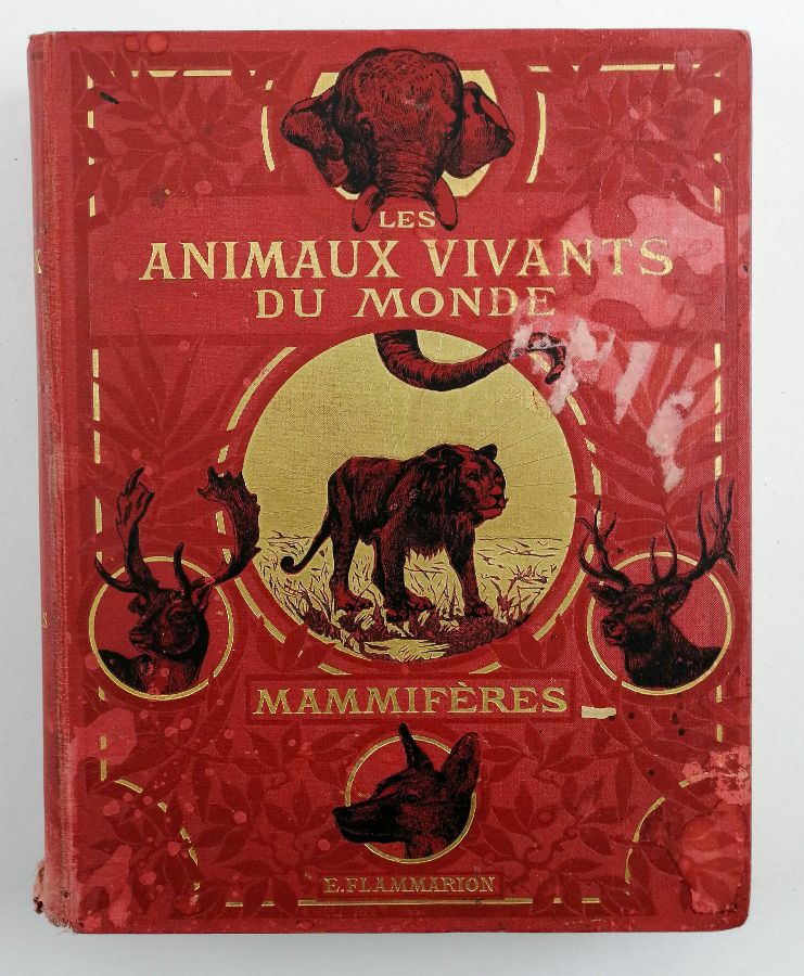 Les Animaux Vivants Du Monde (…) Les Mammifères