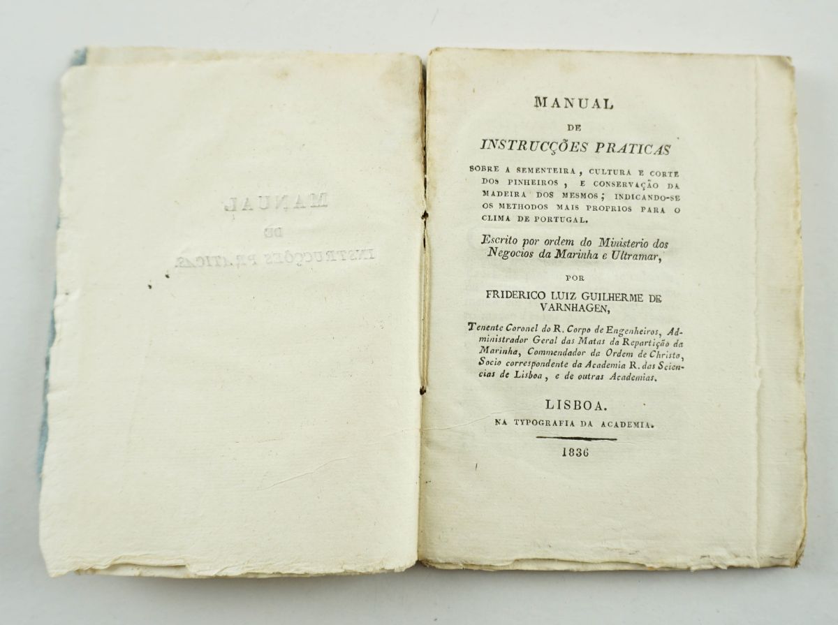 Cultura dos pinheiros – 1836.