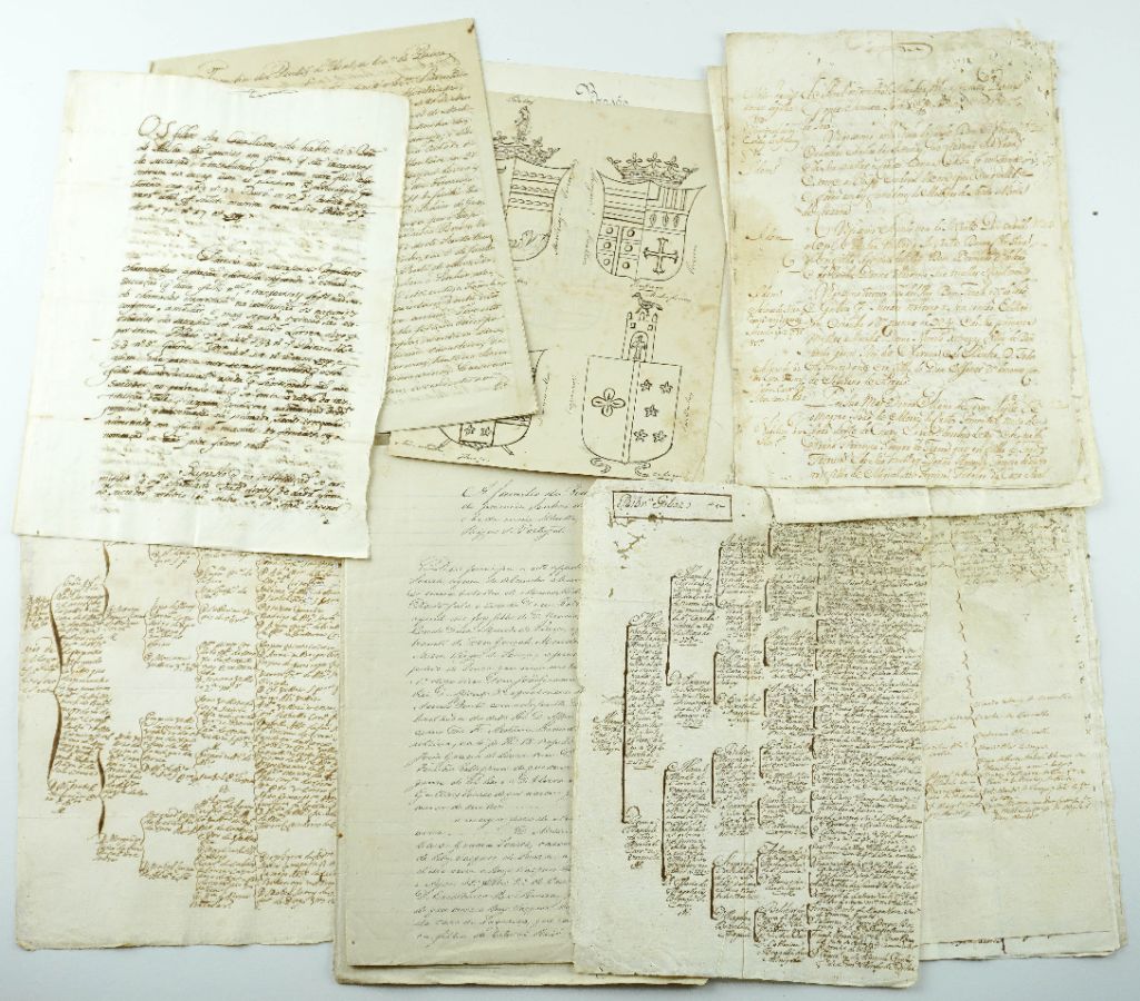 Manuscritos e desenhos do séc. XVII – XIX sobre heráldica e genealogia