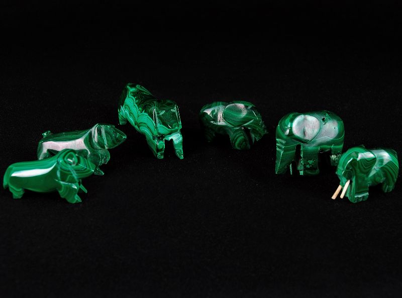 Conjunto de 6 animais