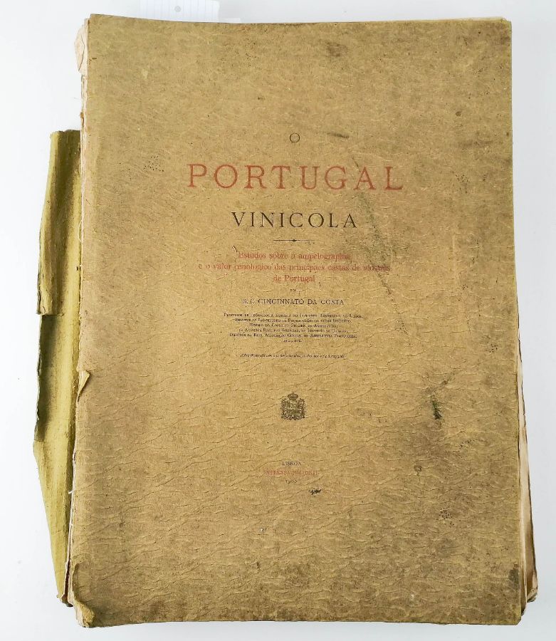 Cincinato da Costa- O Portugal Vinícola- 1900