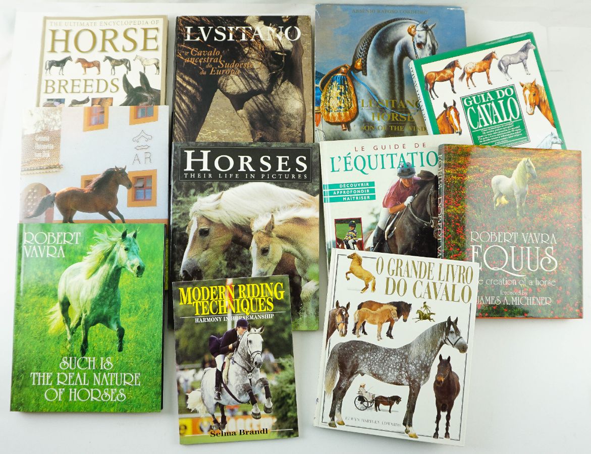 Livros sobre cavalos e equitação