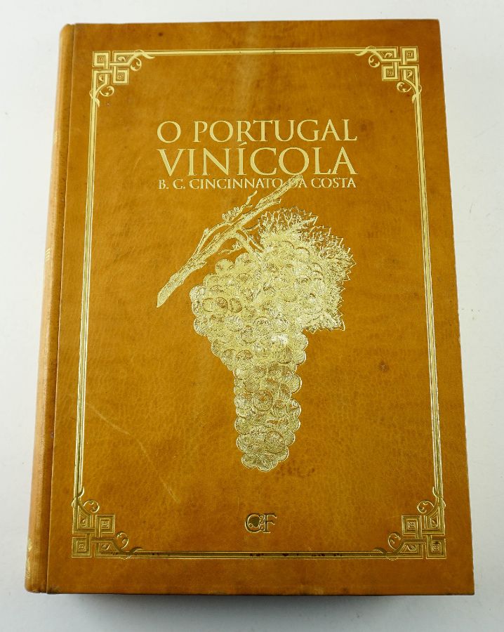 O Portugal Vinícola
