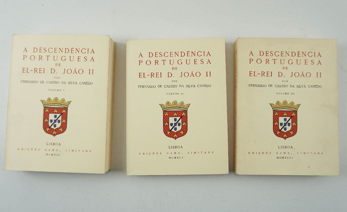 A Descendência Portuguesa de El Rei D. João II