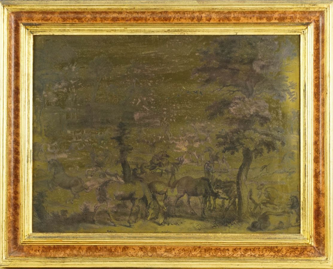 Cenas de cavalos