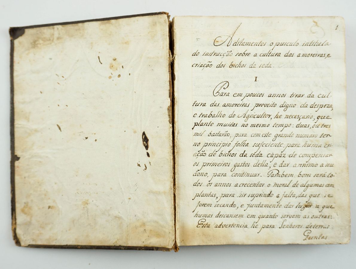 Manuscrito de curiosidades.