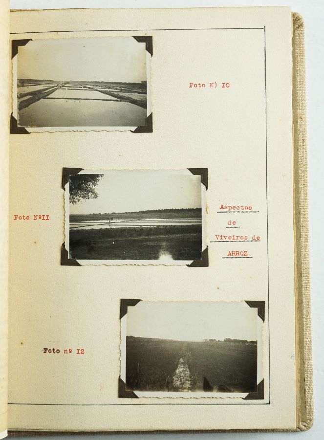 Relatório Fotográfico sobre a Herdade do Rio-Frio