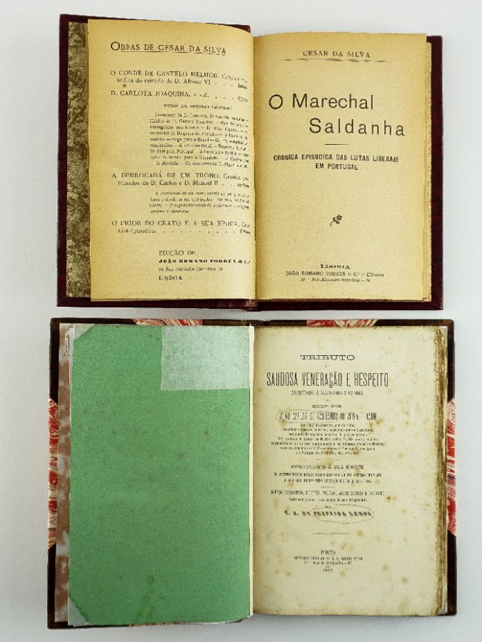 Marechal de Saldanha