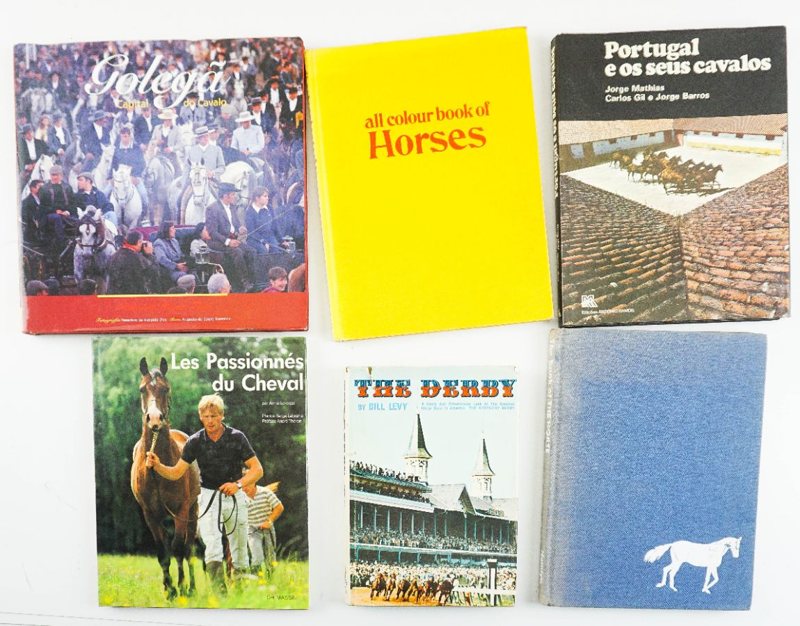 4 Livros sobre Cavalos