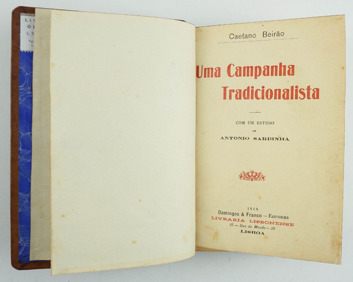 Uma Campanha tradicionalista (1919)