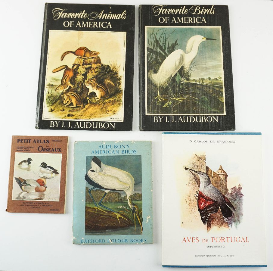 5 Livros de Aves