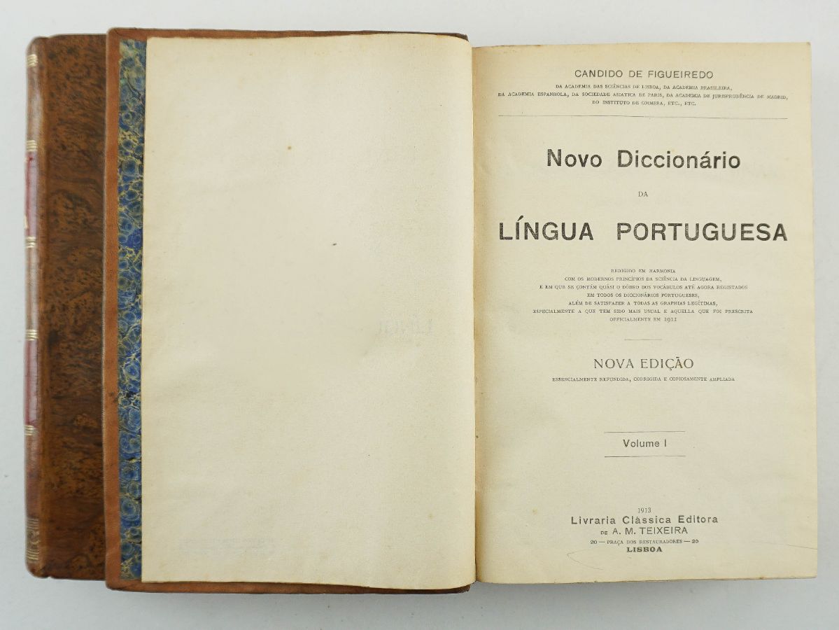 Novo Dicionário da Língua Portuguesa por Cândido de Figueiredo