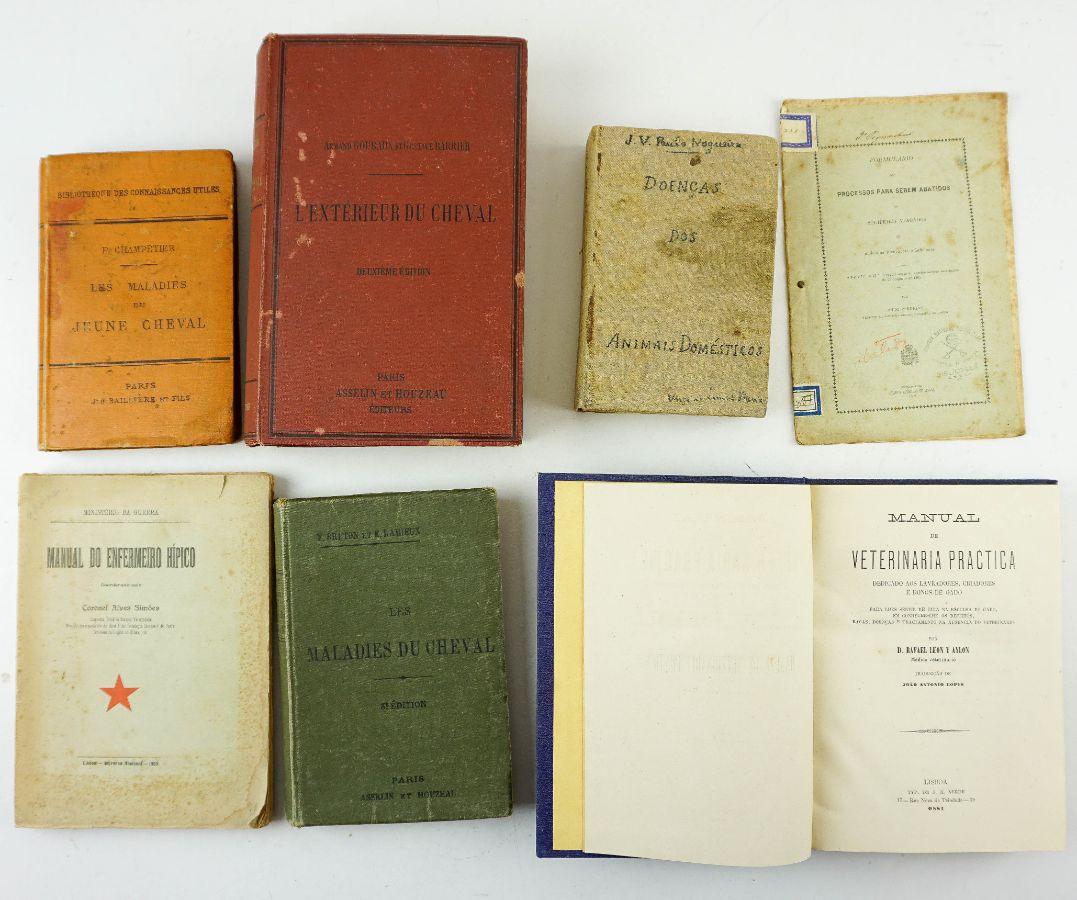 6 Livros sobre Cavalos