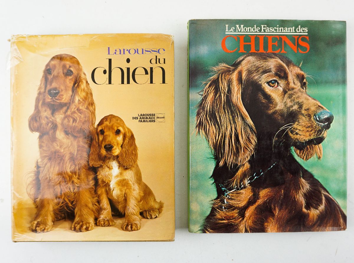 2 Livros sobre Cães