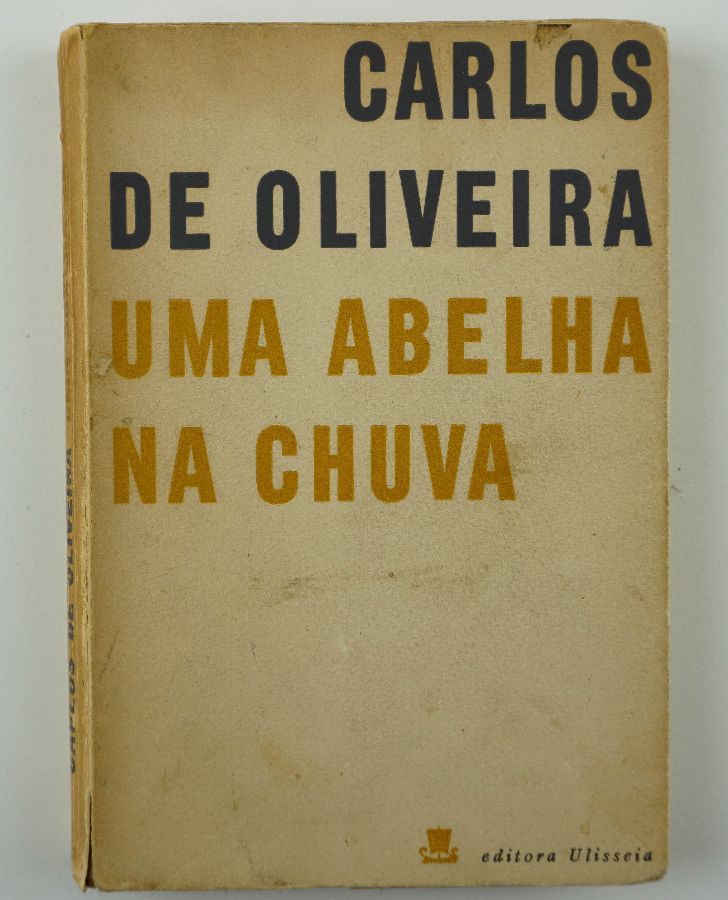 Uma Abelha na Chuva - Edição Especial