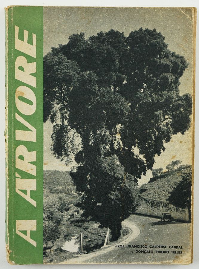 A Árvore - Gonçalo Ribeiro Telles