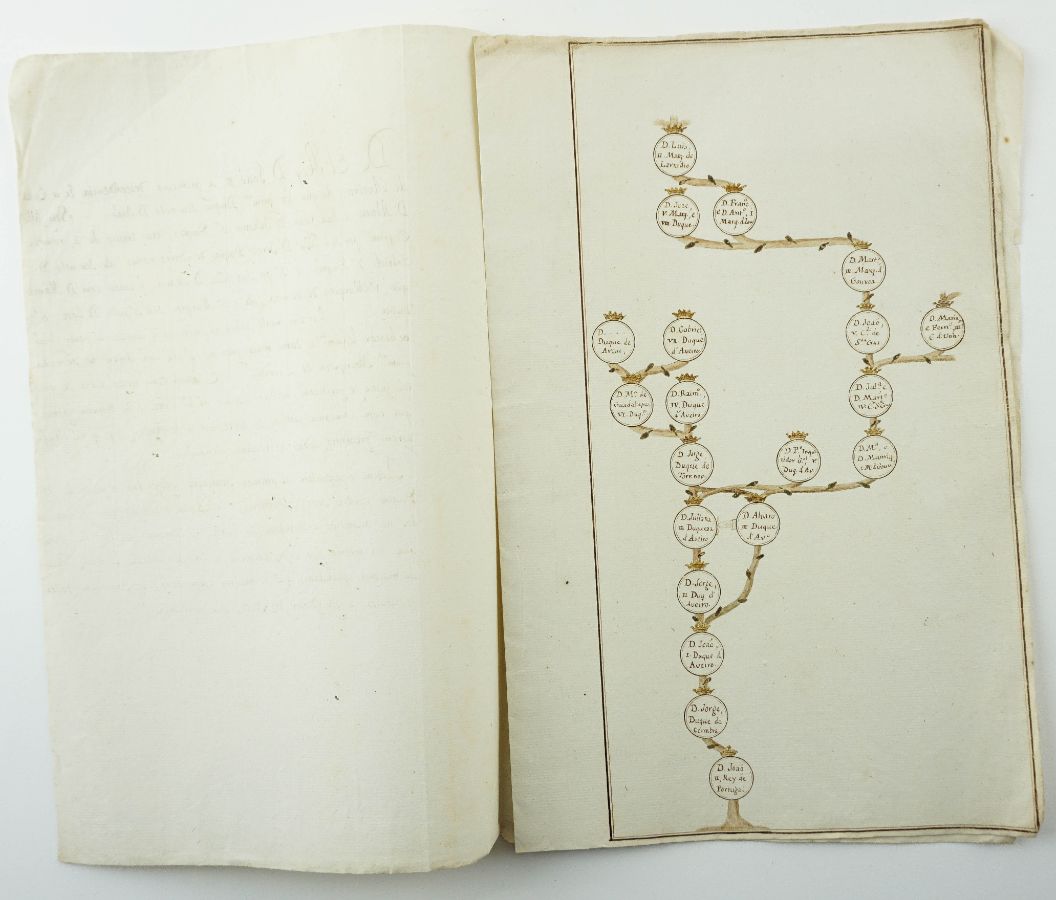 Árvore Genealógica de D. João II , Rei de Portugal até D.Luis, Marquês de Lavradio 