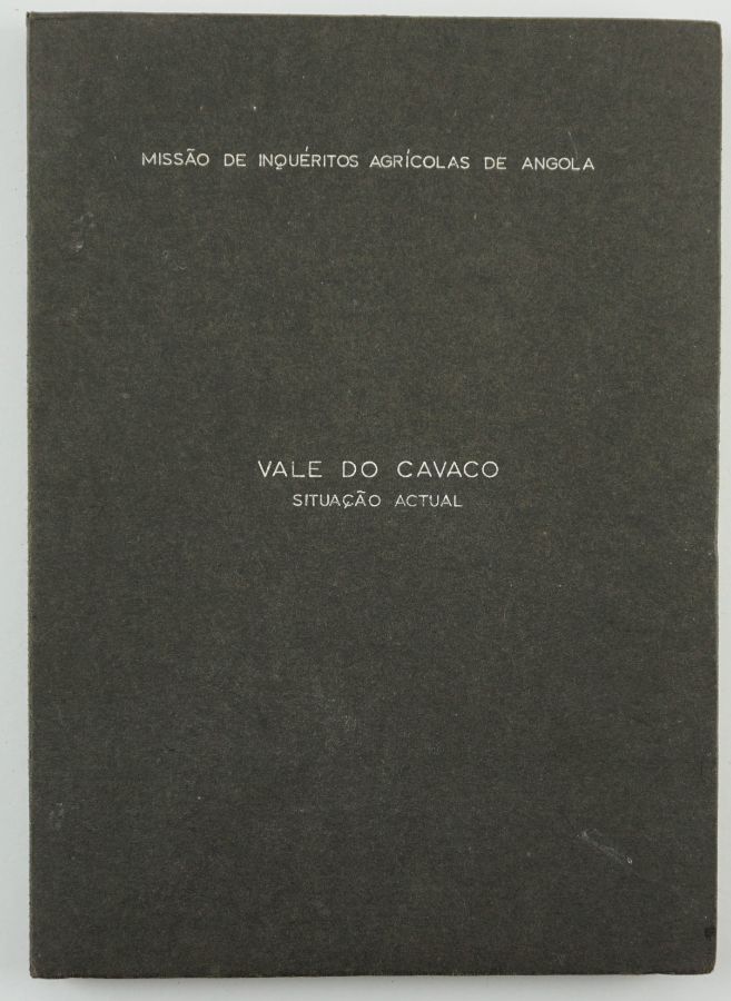 Vale do Cavaco