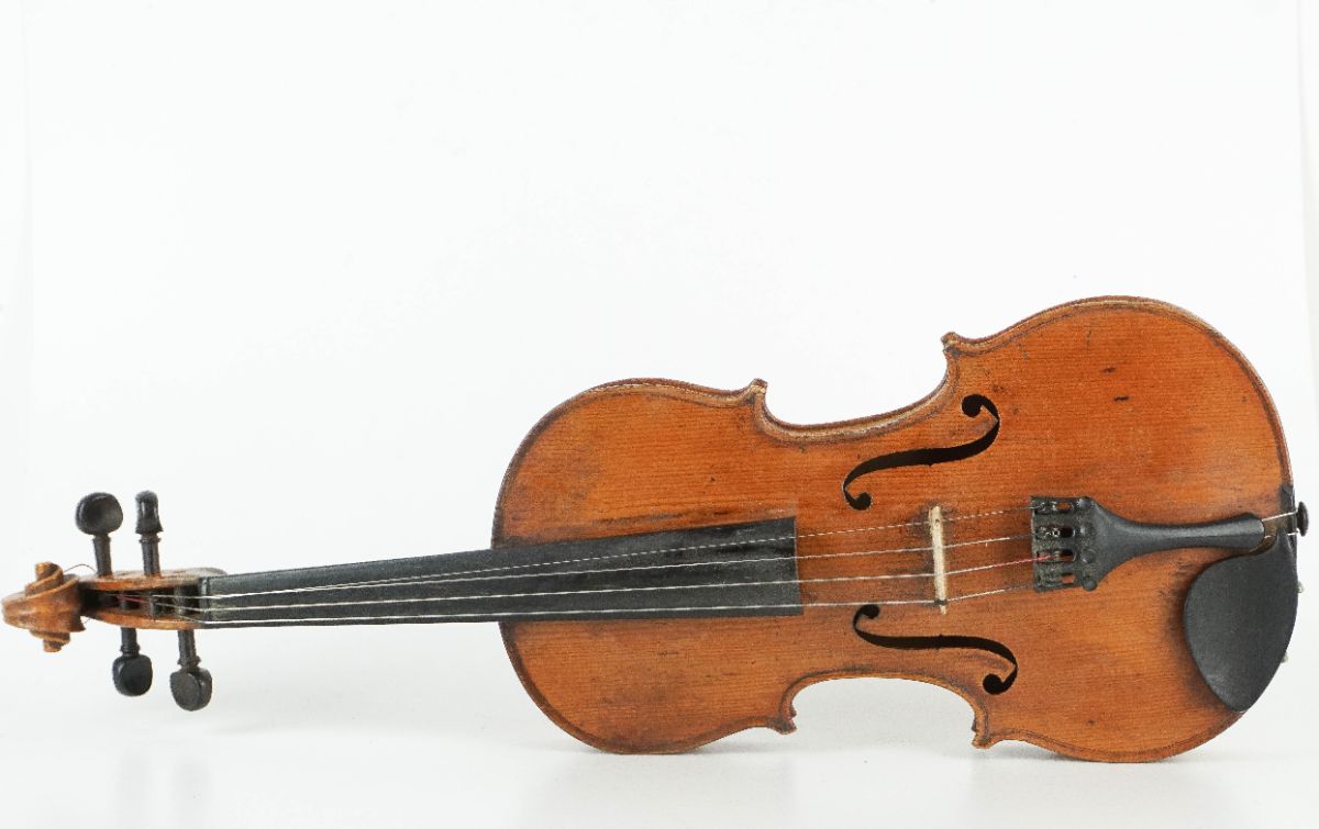 Violino