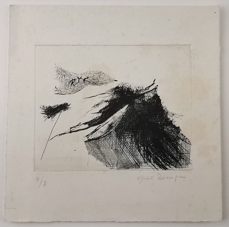 Cyril Bourquin