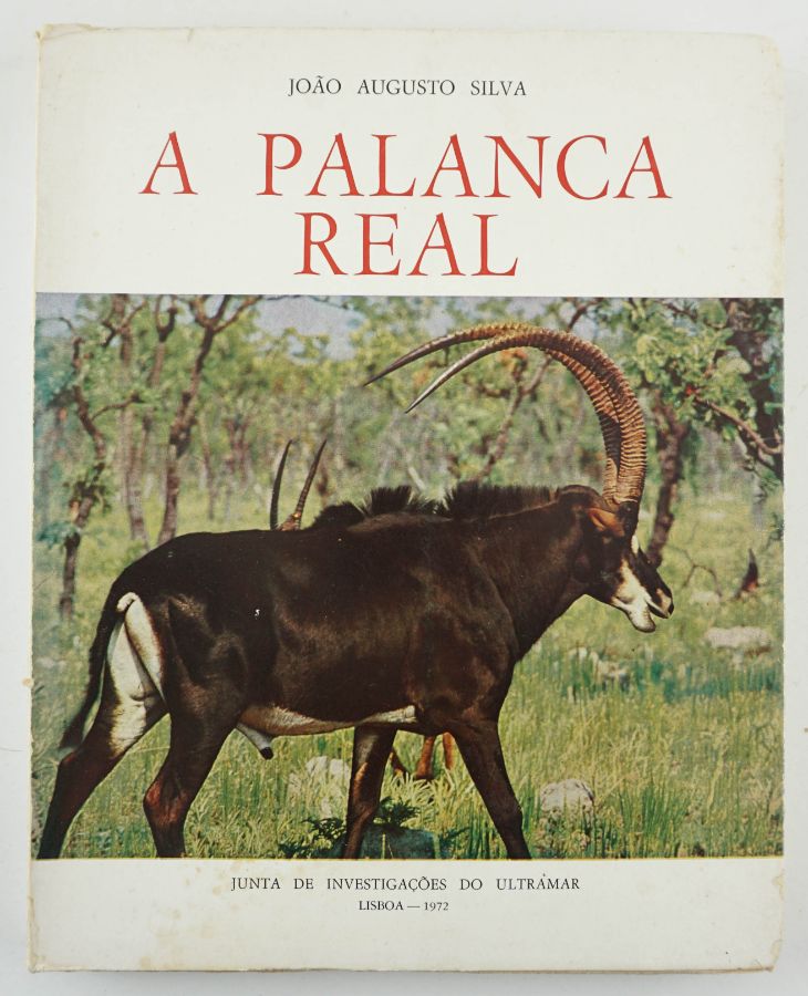 Palanca Real
