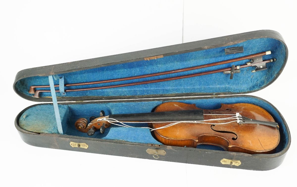 Violino 