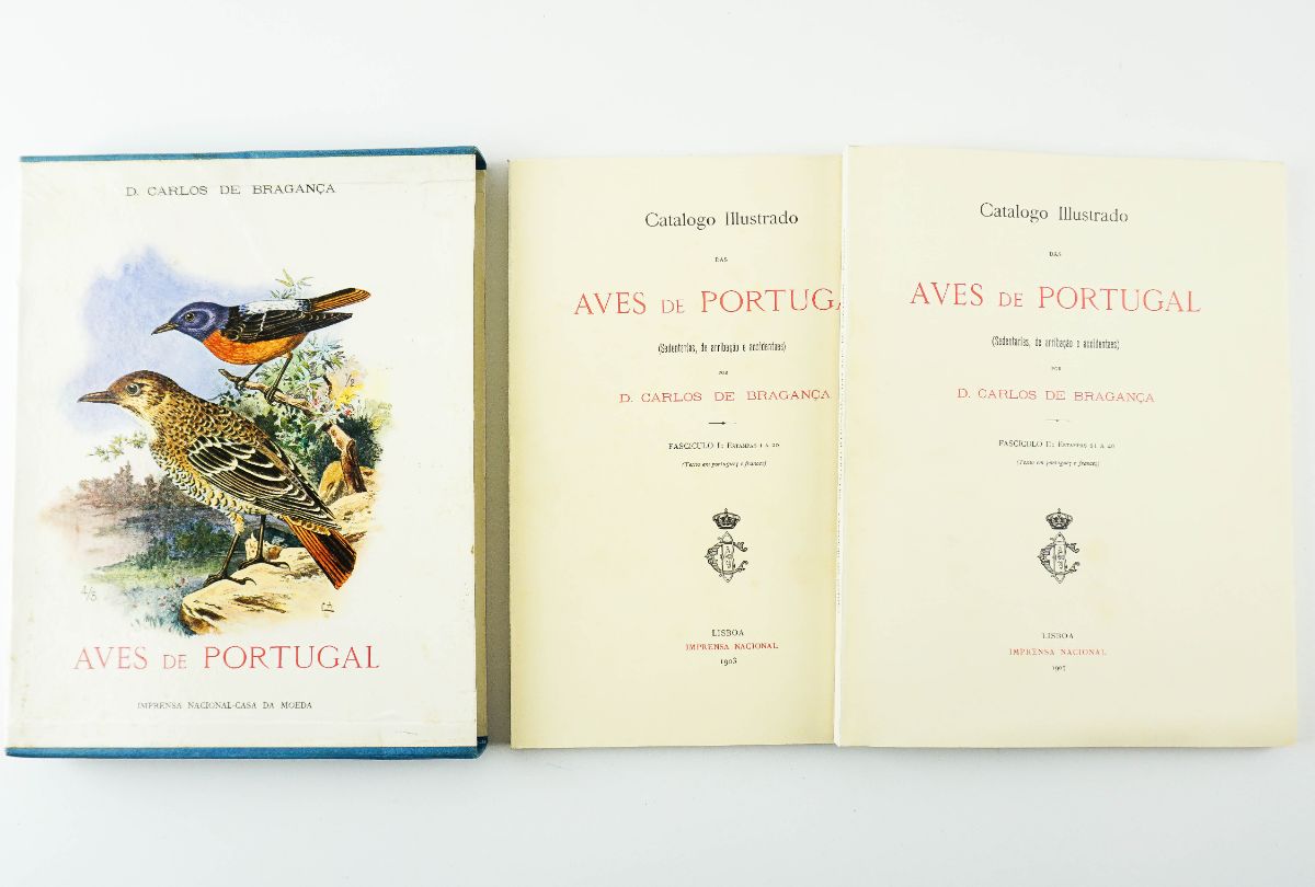 Aves de Portugal