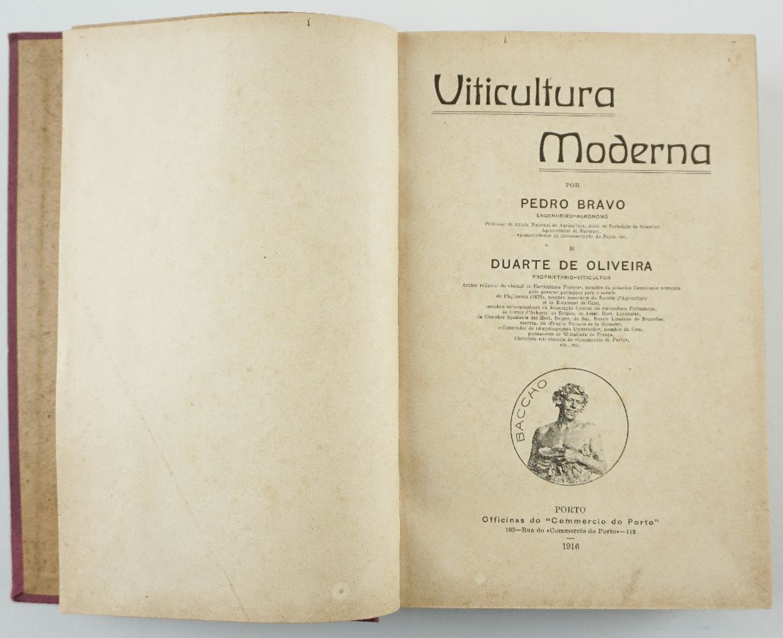 Viticultura Moderna