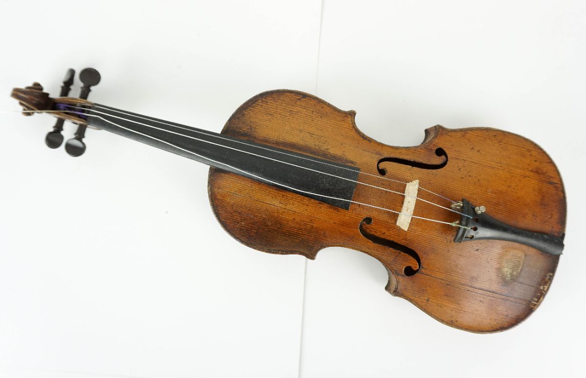 Violino