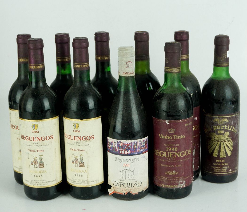 10 Garrafas de Vinho Tinto