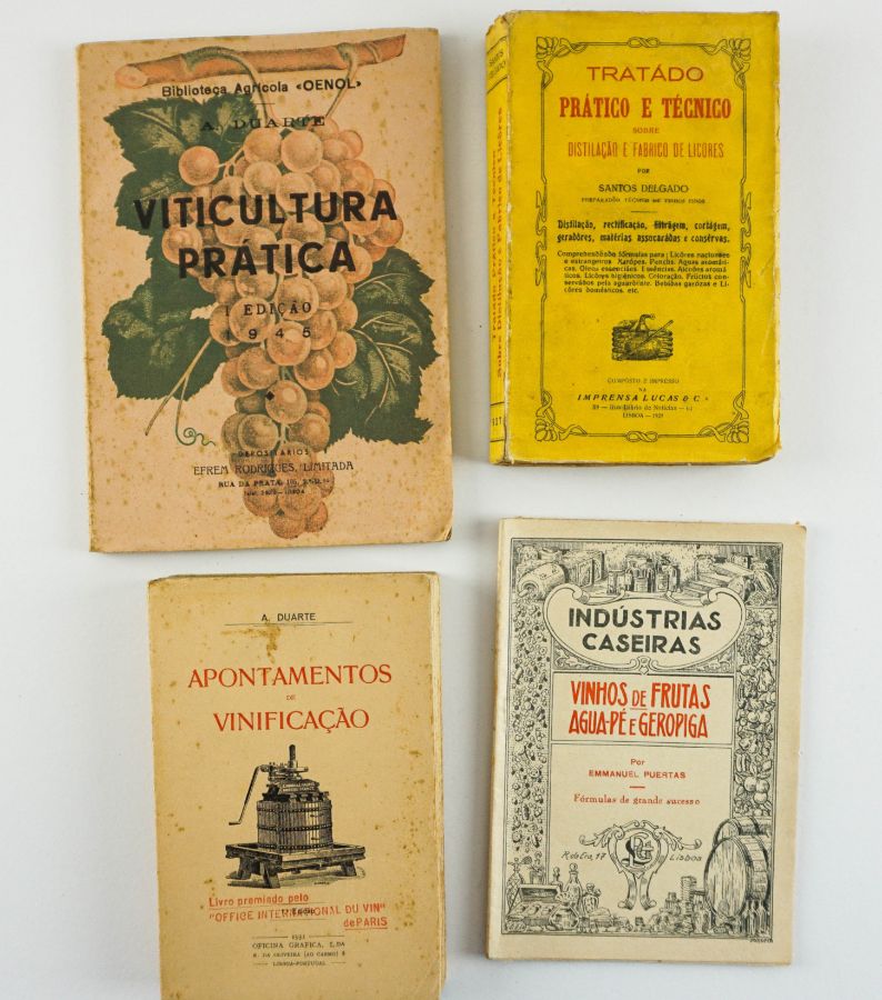 Viticultura e Vinicultura