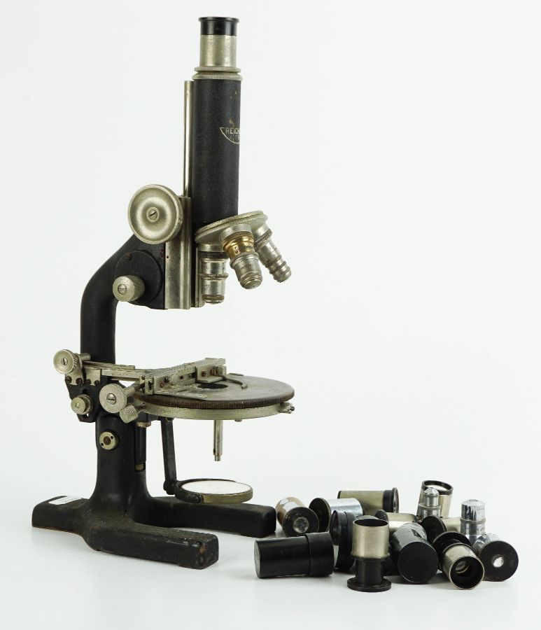Microscópio Austríaco