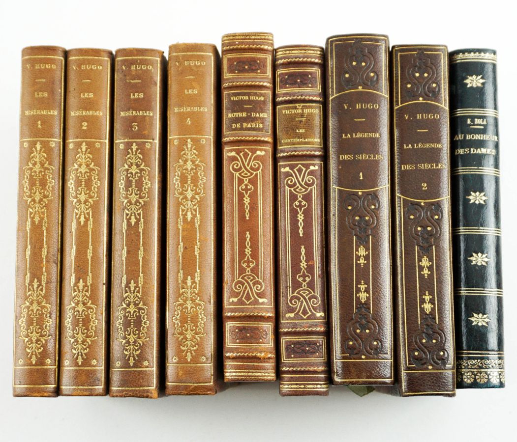 Literatura Francesa Victor Hugo e Émile Zola