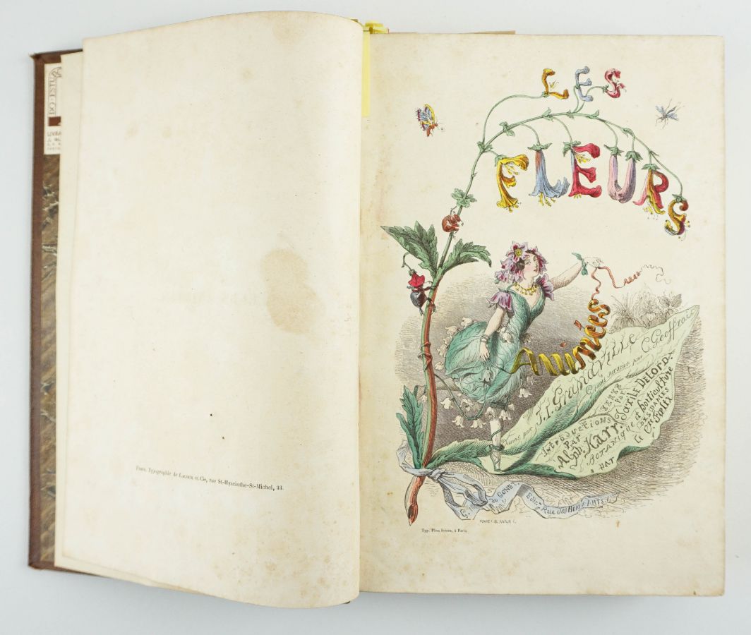 Importante edição original de Grandville - 1847