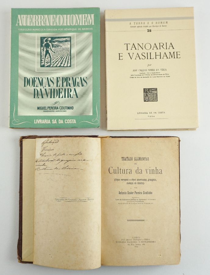 Três títulos sobre viticultura