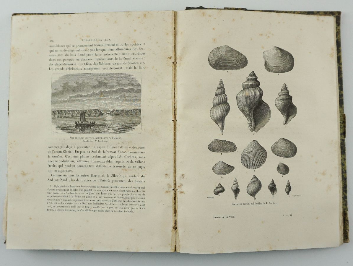 NORDENSKIÖLD (E.)
