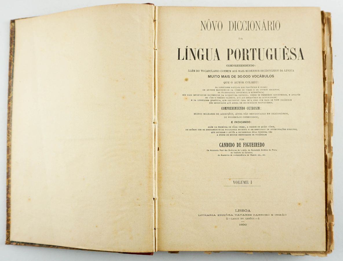 Novo Dicionário da Língua Portuguesa