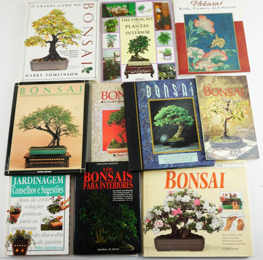 Bonsai e Jardinagem