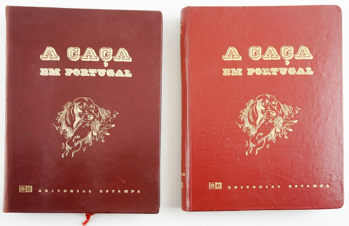 Caça em Portugal