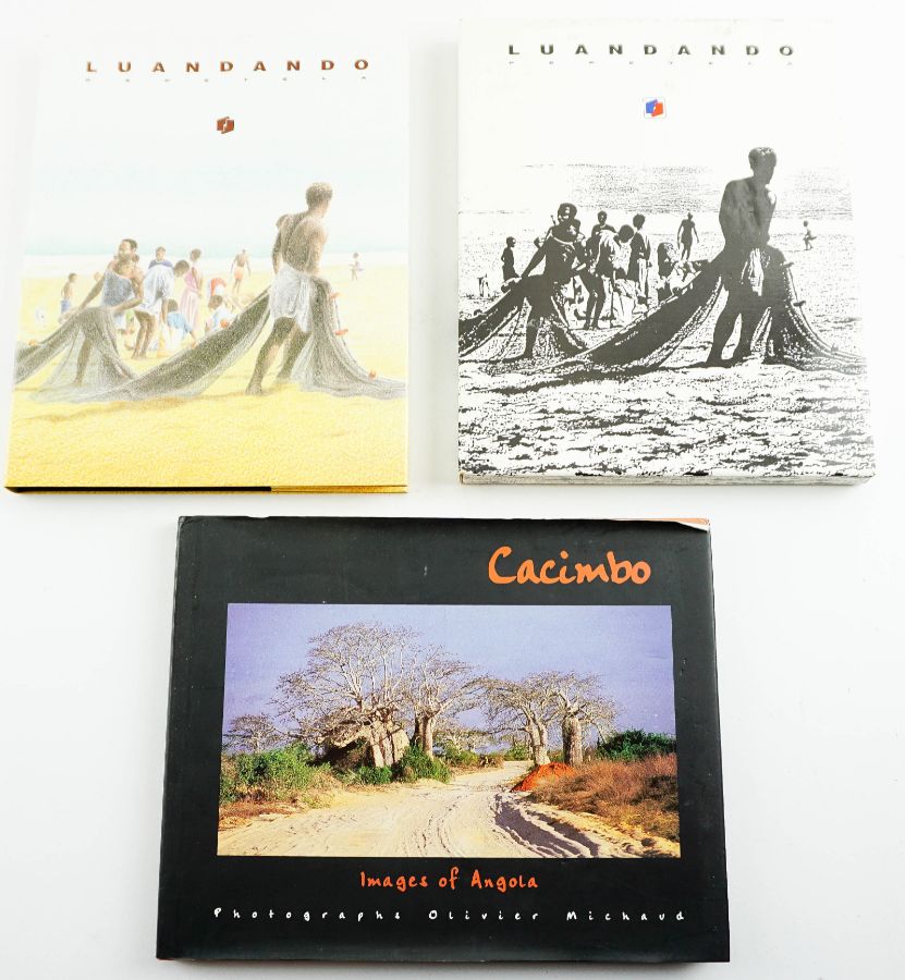 2 Livros sobre África