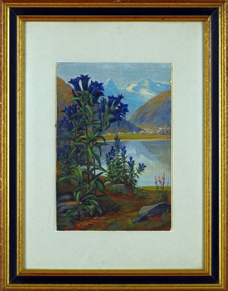 Paisagem