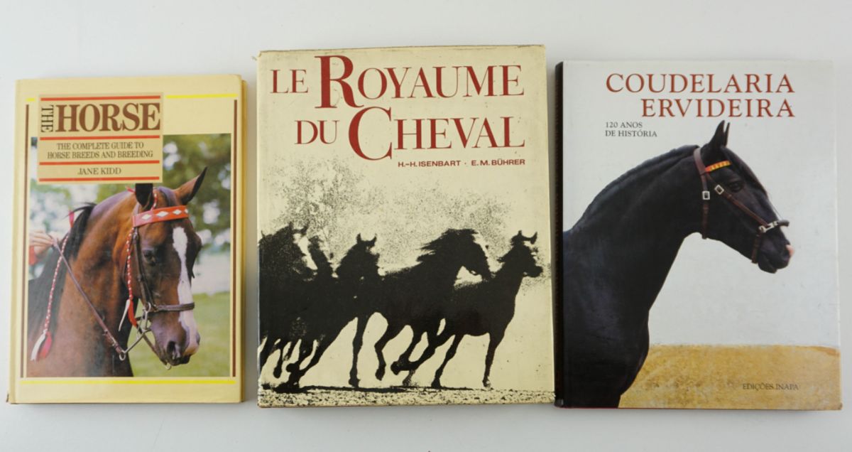 3 Livros sobre Cavalos