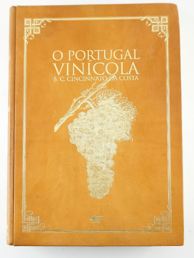 O Portugal Vinícola