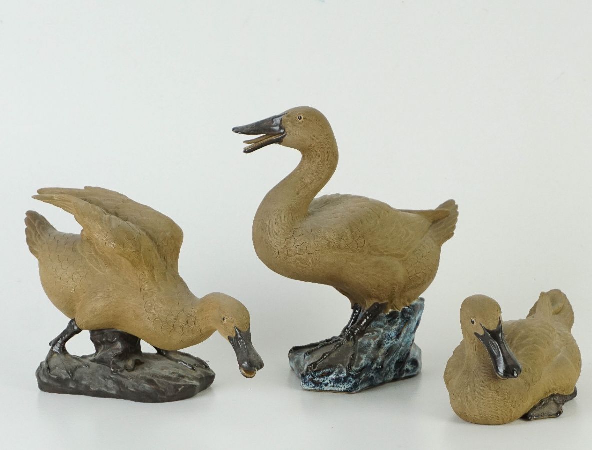 3 Patos