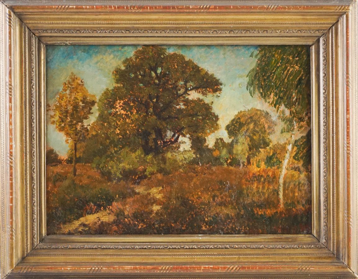 Paisagem